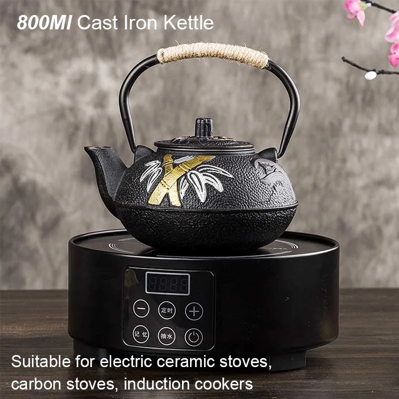 Théière de brassage peinte pru - Cast Iron Teapot avis et prix