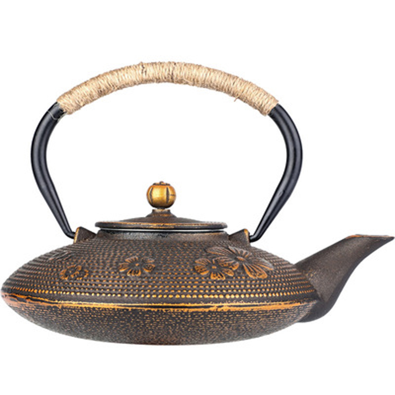 Bouilloire à thé en fonte de f - Cast Iron Teapot avis et prix
