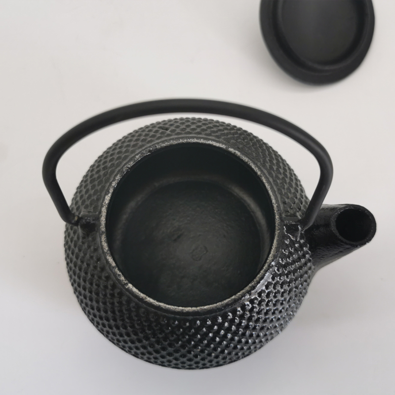 Bouilloire en fonte japonaise  - Cast Iron Teapot avis et prix